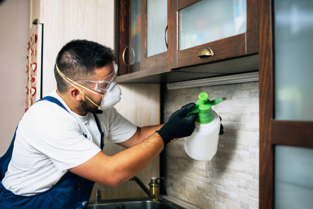 Reliable Breinigsville, PA Pest Control Solutions