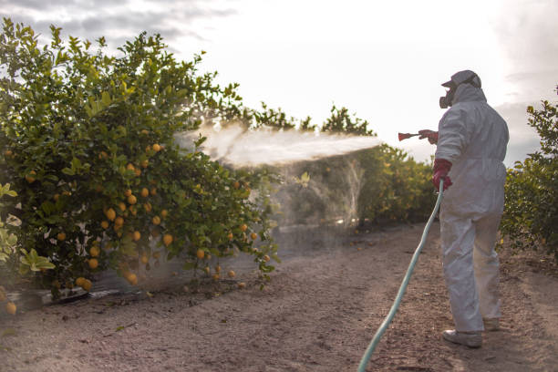 Best Best Pest Control Companies  in Breinigsville, PA